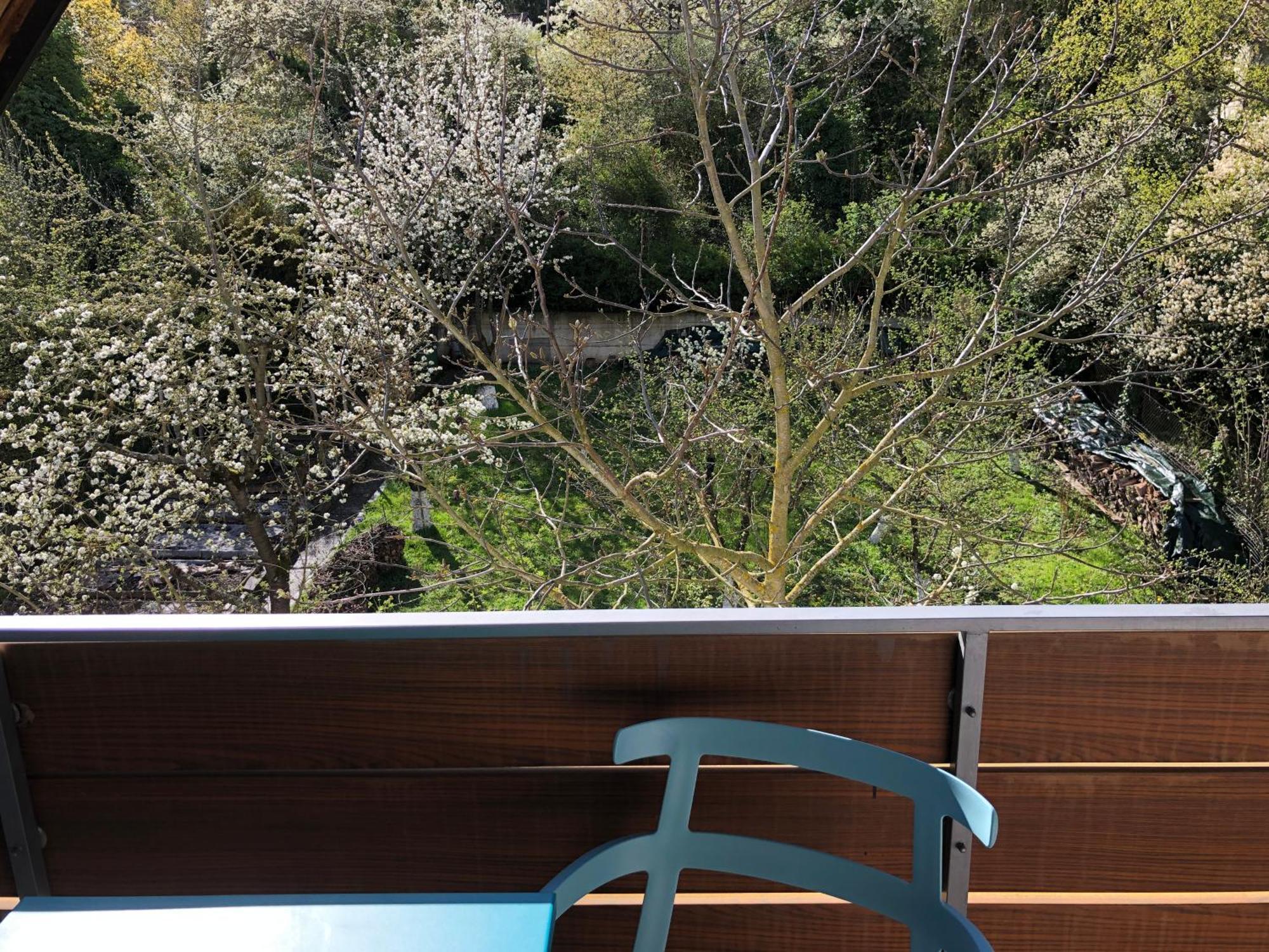 Blaues Zimmer Mit Grossem Balkon, Bad Ist Ein Traum, 50 Schritte Zum Radweg Am Main,Ideal For Short Stay Mainstockheim Exteriör bild