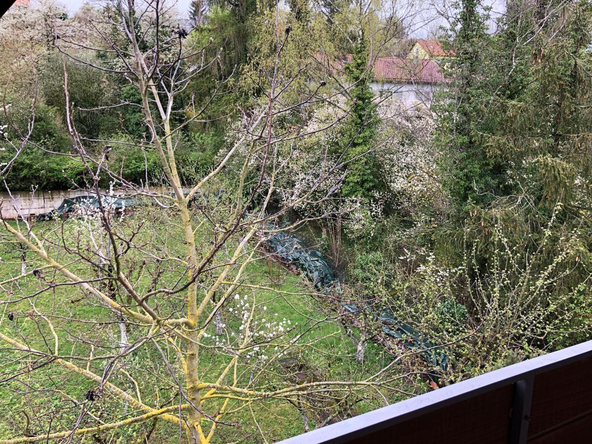 Blaues Zimmer Mit Grossem Balkon, Bad Ist Ein Traum, 50 Schritte Zum Radweg Am Main,Ideal For Short Stay Mainstockheim Exteriör bild